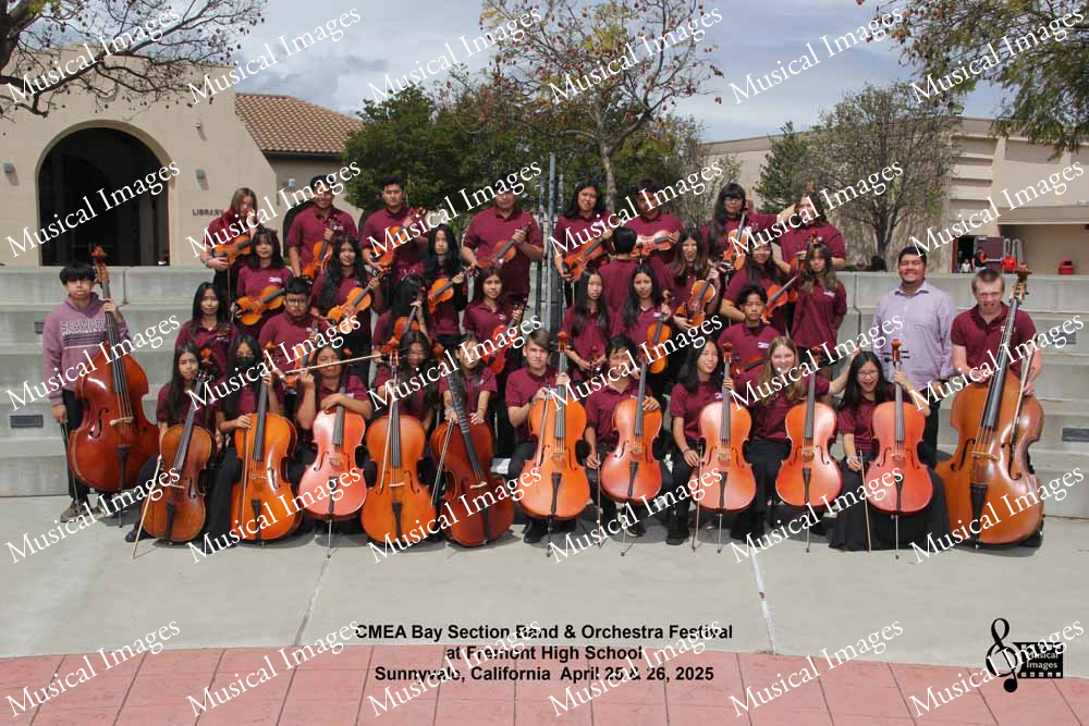 Musical Images